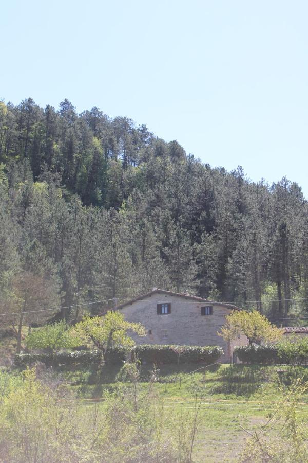 גוביו B&B Paradiso מראה חיצוני תמונה