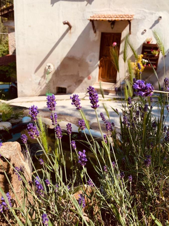 גוביו B&B Paradiso מראה חיצוני תמונה
